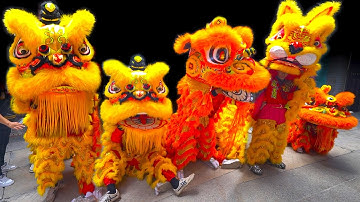 Múa Lân Hay Nhất 2022 Khai Quang Điểm Nhãn Lân Sư Rồng 2023 / LSR Oai Dũng