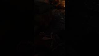 metro 2033 bourbon death #shotrs #metro2033 #death #sad #game #gamer #gaming #rip #subscribe #like