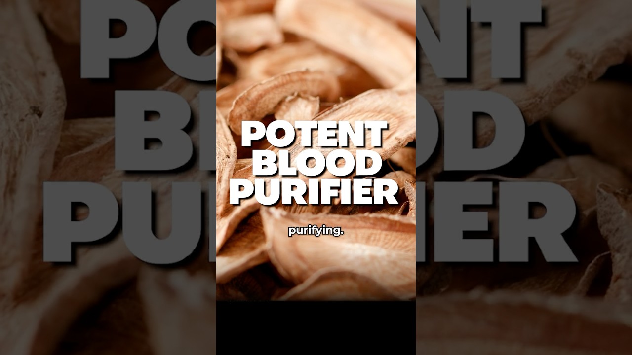 Burdock Root The Detox Powerhouse That Supports Lymph Flow & Energy Naturally