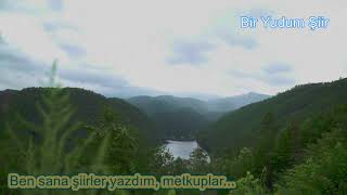 Ben sana şiirler yazdım, mektuplar... ~ Bir Yudum Şiir
