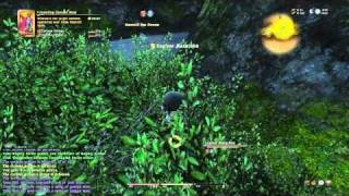 FFXIV - A Very Curious Galago