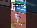 CODY BELLINGER hace la atrapada de del año. #béisbol #mlb #viralvideo.
