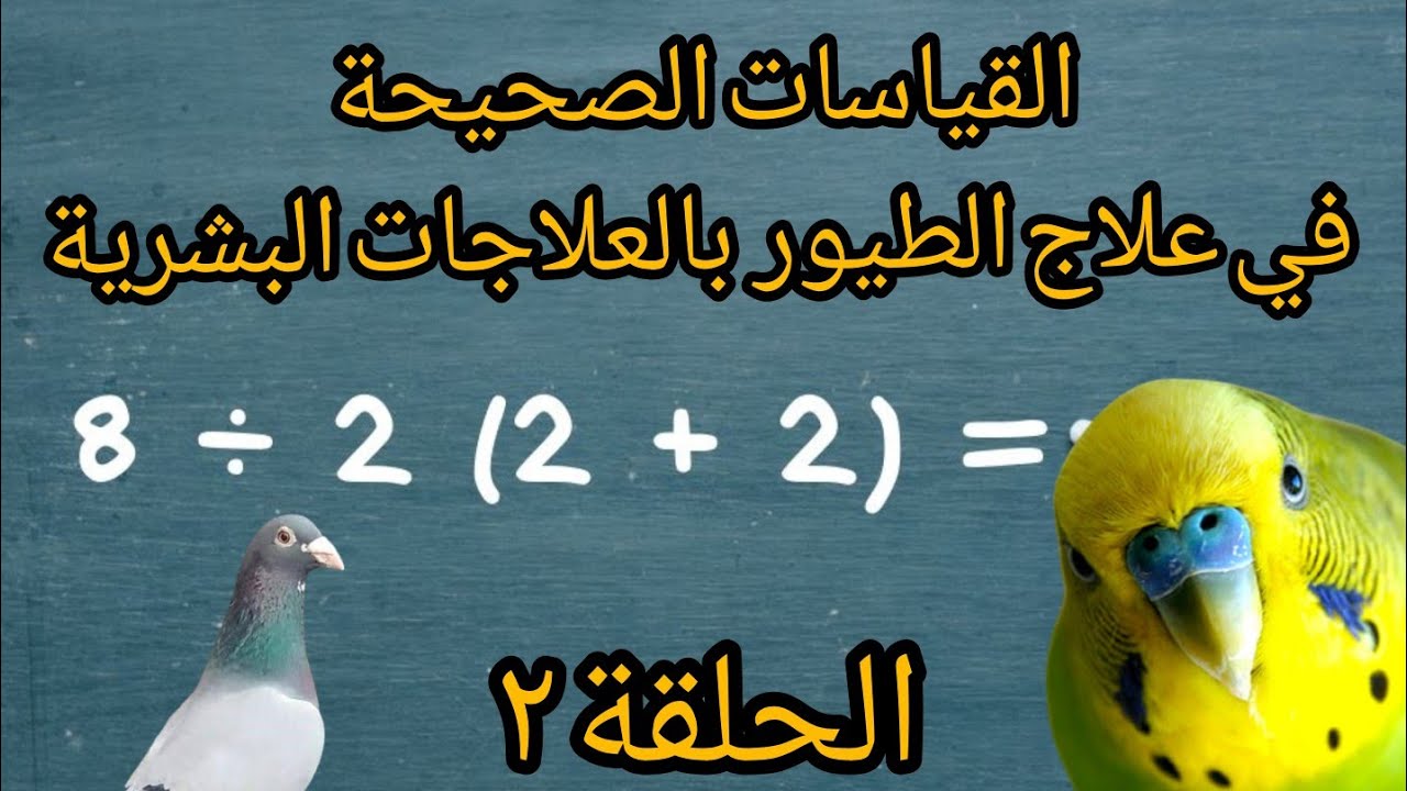 القياسات الصحيحة في علاج الطيور بالعلاجات البشرية/ ح2