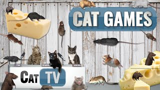 Cat Games |  Rodent Rendezvous: Mice, Rats, and Hamsters Delight Kitties! | Cat TV