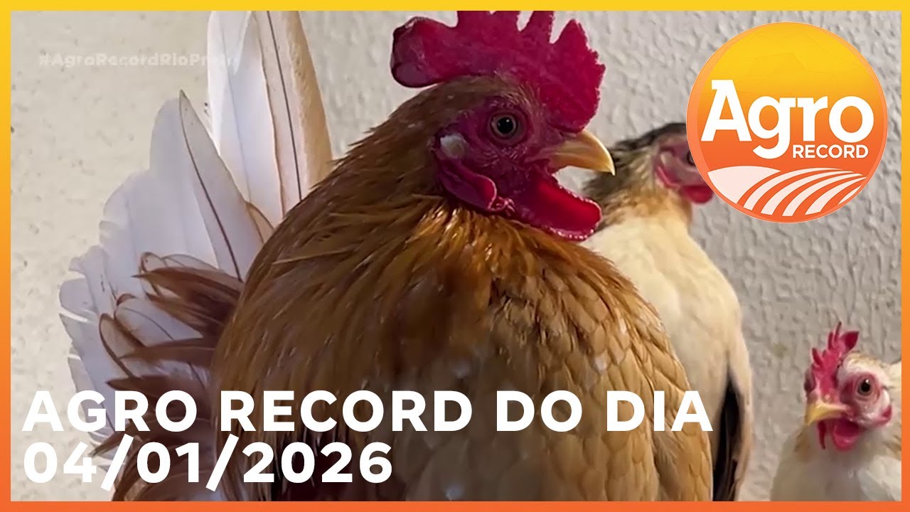 Agro Record de 4 de janeiro 2026