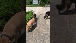IMG 2392