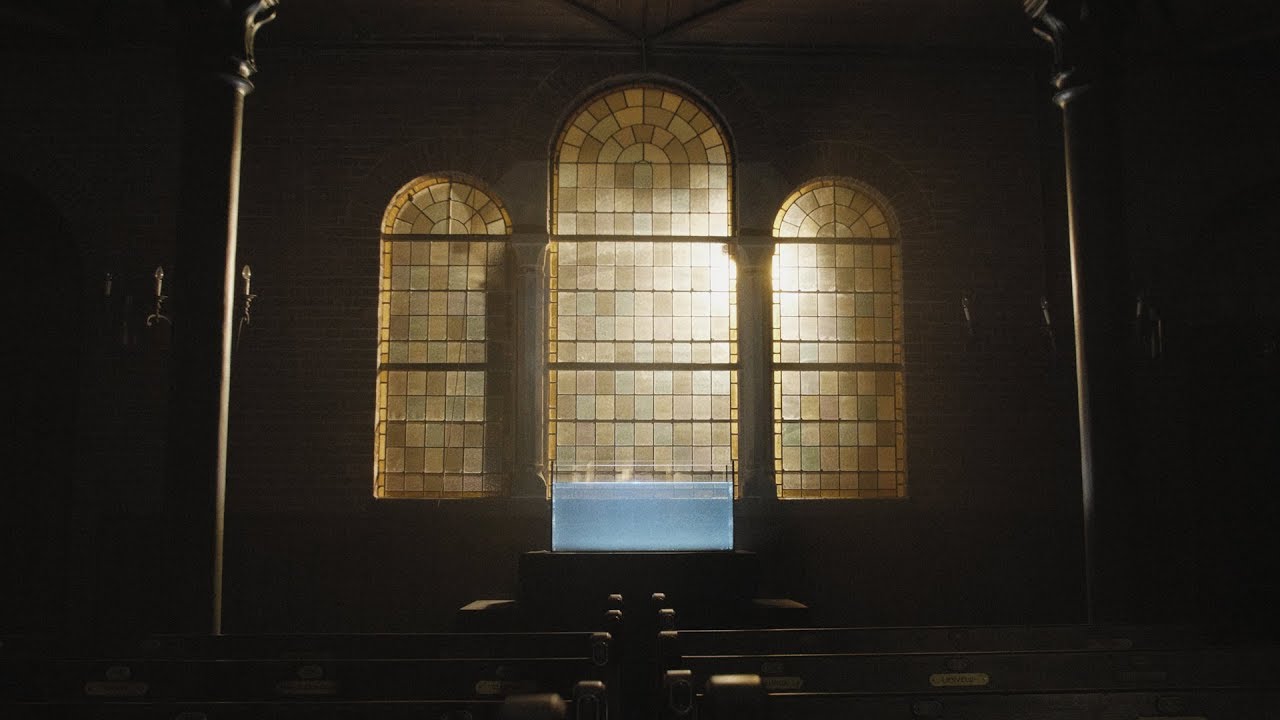 MOMO Festival 2019 = LIQUID