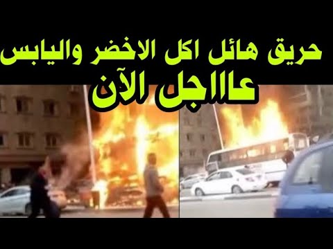 عاااجل الان حريق هائل اكل الحطان في الوايلى ووعربيات المطافي لا تستطيع السيطرة على الدخان