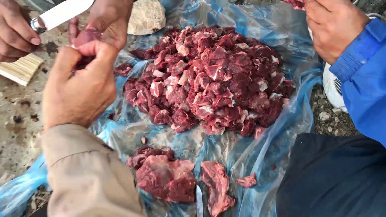 مسير التحمل إلى قرى جبل الكور تنظيم فريق مسير التحمل ببهلا