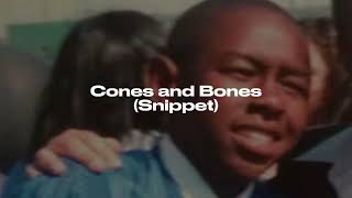 Tyler Okonma - Cones and Bones (Snippet) - my good beats