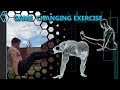 7 Game Changing Exercises You (Probably) Aren't Using + UPDATE!