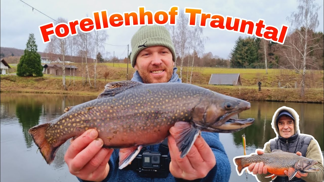 Saibling angeln beim Forellenhof Trauntal