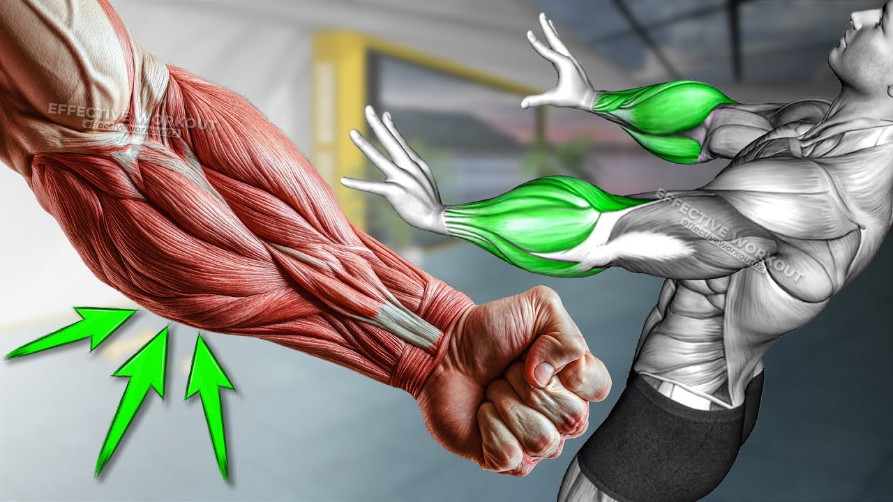 10 BEST Exercises for Bigger Forearms Workout - YouTube
