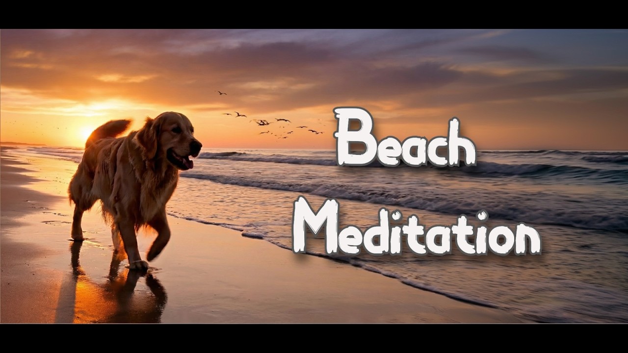 Sunset Beach Meditation: Labrador & Relaxing Music 🌅🐕😌🌊✨🎧