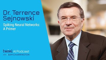 Spiking Neural Networks: A Primer with Dr. Terrence Sejnowski - #317