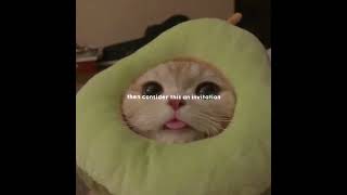 Download Lagu Meghan Trainor / Title 🥀/ Lyrics video💫 MP3