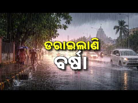 🔴Live | ଆଗାମୀ ୩ଘଣ୍ଟା ପାଇଁ ୧୨ଜିଲ୍ଲାକୁ ୟେଲୋ ଓ୍ବାର୍ଣ୍ଣିଂ | Odisha Weather Alert | Argus News