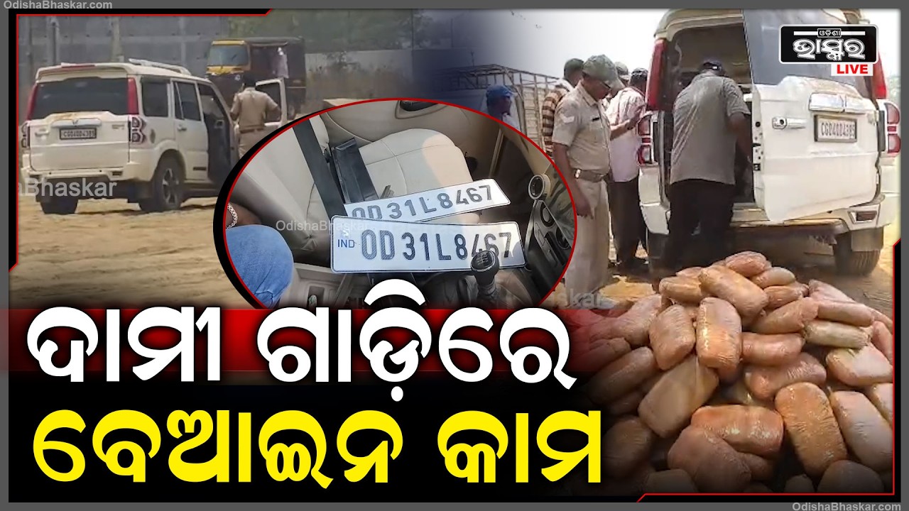 ସ୍କରପିଓ ରେ ୧୦ ଲକ୍ଷ ରୁ ଅଧିକ ଟଙ୍କାର ଗଞ୍ଜେଇ ଚାଲାଣ... ଅନ୍ତରାଜ୍ୟ ଗଞ୍ଜେଇ ଚାଲାଣ ନେଇ ସନ୍ଦେହ...