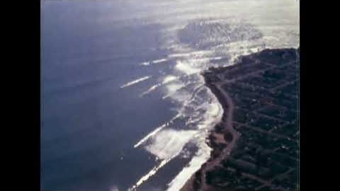 Public Spreads the News - Tidal Level (Official Video)