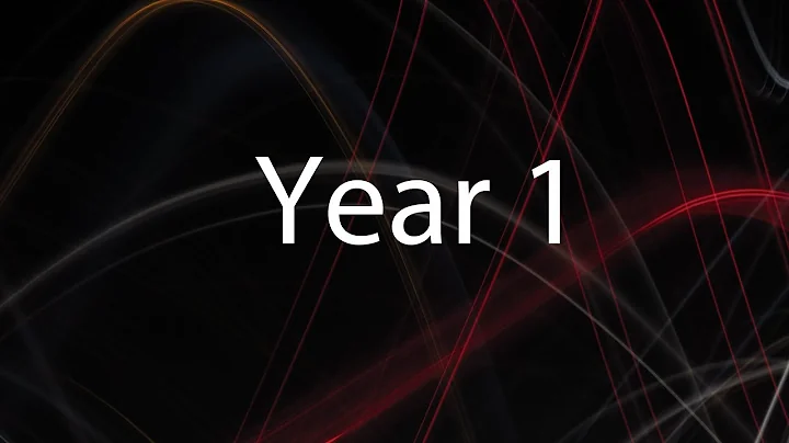 The 1st Year of Videos