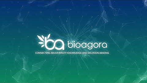 BioAgora: Connecting biodiversity knowledge with decision-making