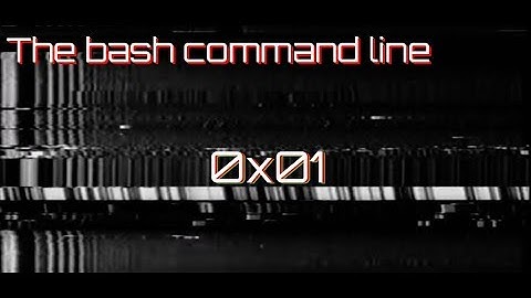 Introduction To The Bash Command Line And The Man Command 0x01