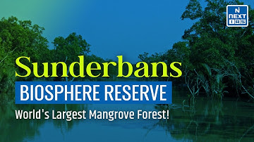 Biosphere Reserves in India (Through Animation) - SUNDARBANS