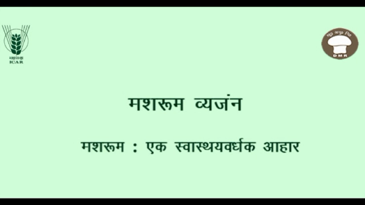 Mushroom Introduction Pilot Mushroom Hindi YouTube
