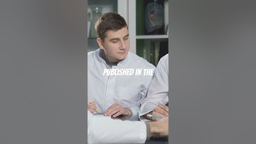 First Full Brain Map of Fruit Fly Revealed!