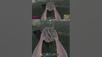 How to kill animals in Safe Zone #Rust #Shorts