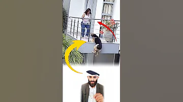 غفل الكلب فكاد أن يهوي من الأعالي لولالطف خفي أبقاه معلق ابين السقوط والنجاةحتى أتته الرحمة Shorts 