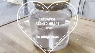 Leivito Madre from scratch, Закваска Левито Мадре на винограде с нуля