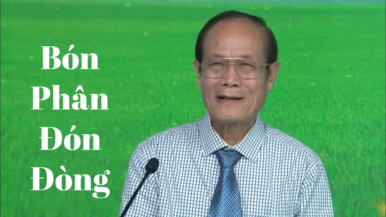 Bón phân đón đòng như thế nào là đúng
