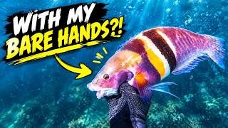 Can You Really Catch Fish By Hand? (Underwater Challenge)