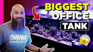 He installed a GIANT FISH TANK in the office!?