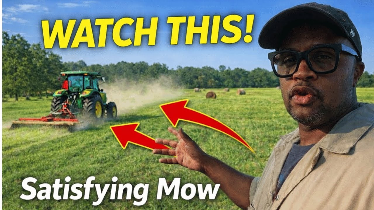 Tractor Mowing the Back Pasture - A Relaxing Tractor Video
