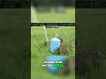 The Hidden Dangers of Untreated Well Water