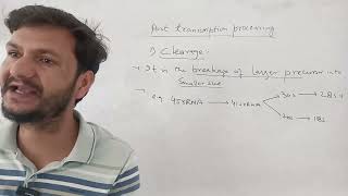 Post transcription processing