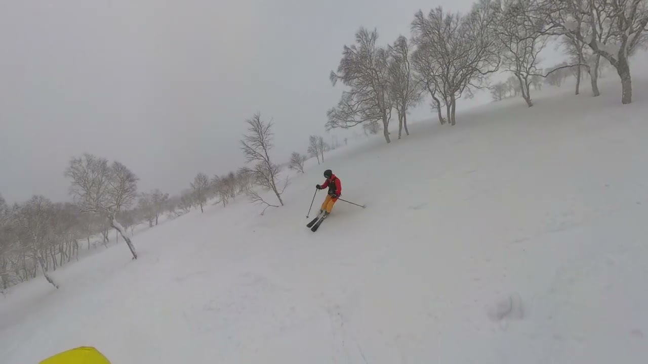 NISEKO SKI