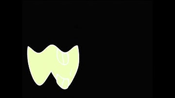 Veh Effects (Inspired By Preview 2 Effects) in Invert Color