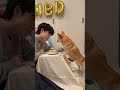 お迎えして3年だなんて、、🥹