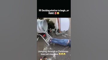 Man vs. Christmas Tree Net 😂🎄