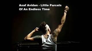 Asaf Avidan   Little Parcels Of An Endless Time