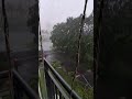 jaakar nariyal paani peelo bhai 💔#trending #kolkata #rain #summer #sigma #zepto #raininsummer #fyp