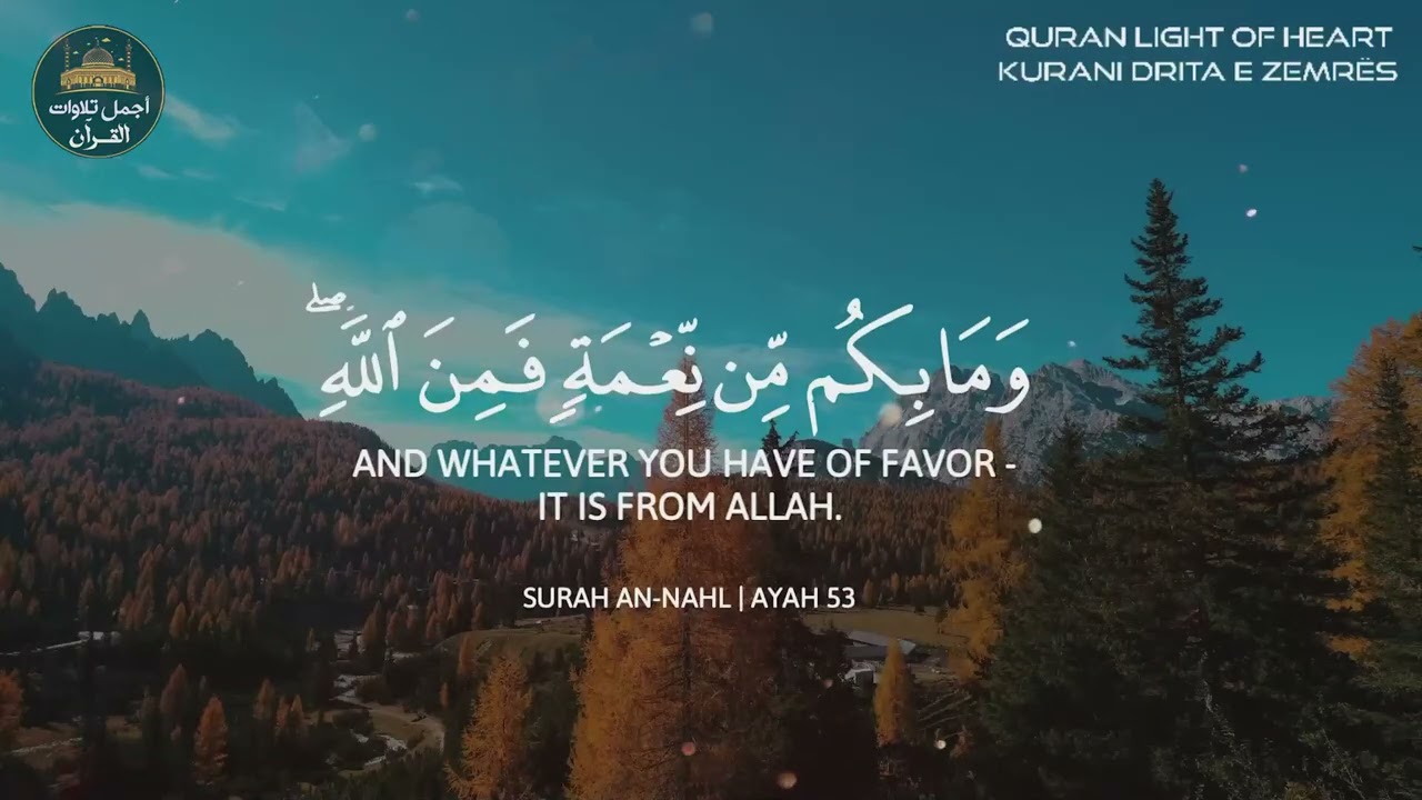 تلاوة قرآنية تقشعر لها الأبدان❤️هدوء وراحة وسكينة😌أرح سمعك🎧مع اجمل قارئ❤️عبد الرحمن مسعد