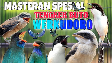 MASTERAN CENDET TENGKEK BUTO WERKUDORO FULL TEMBAKAN PANJANG KEKINIAN