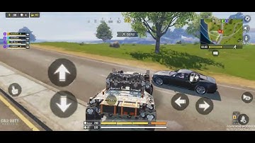 How  TO  PICK UP FRIENDS DOG