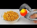 Experiment: Glowing 1000 Degree Metal Ball Vs Popcorn