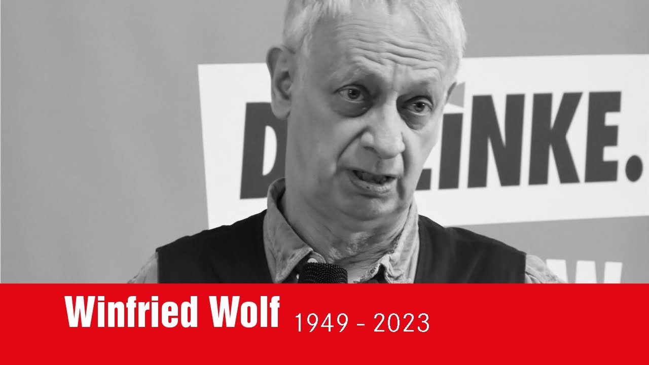 Winfried Wolf beim Parteitag von DIE LINKE NRW