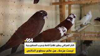 التار العراقي يطير نهاراً كاملاً وحرب المطيرجية ليست مزحة.. من عالم سطوح الخالص